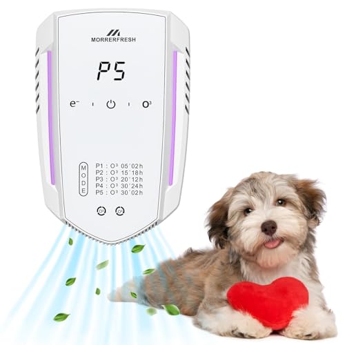 Best Air Purifiers for Pets