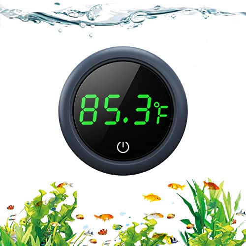 Best Aquarium Thermometer