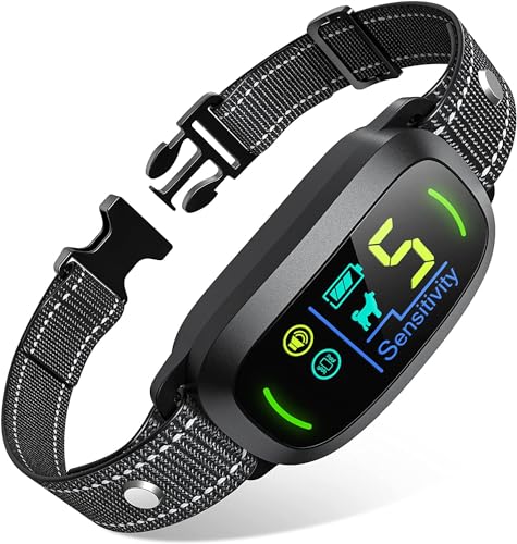 Best Bark Collar For Dogs