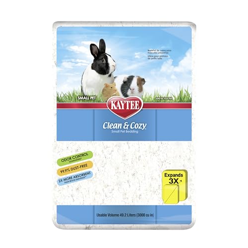 Best Bedding for Rats