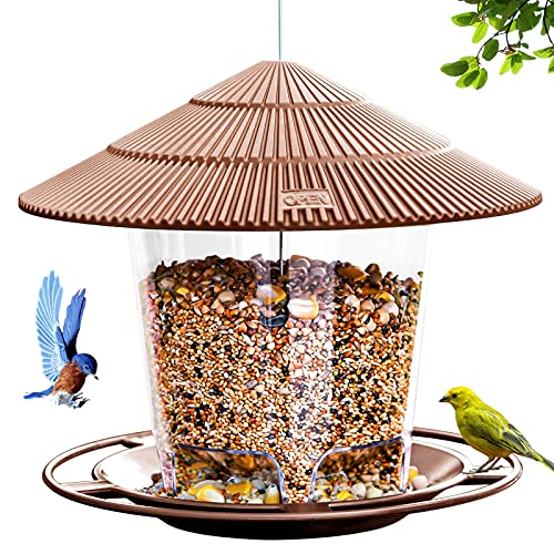 Best Bird Feeders