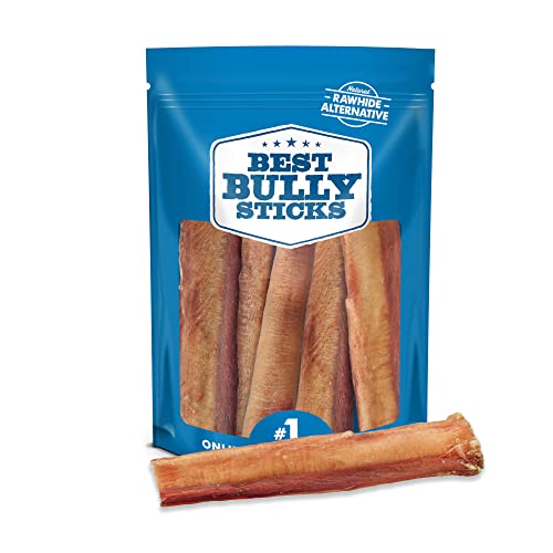 Best Bully Sticks for Dogs