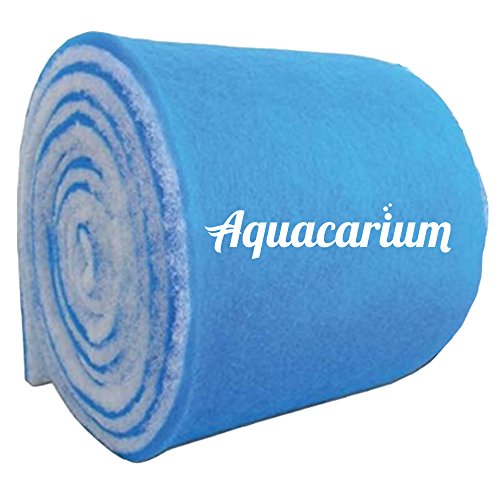 Best Canister Filter For Aquarium