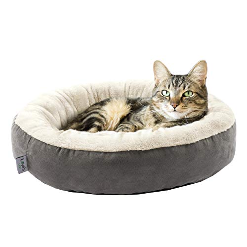 Best Cat Beds
