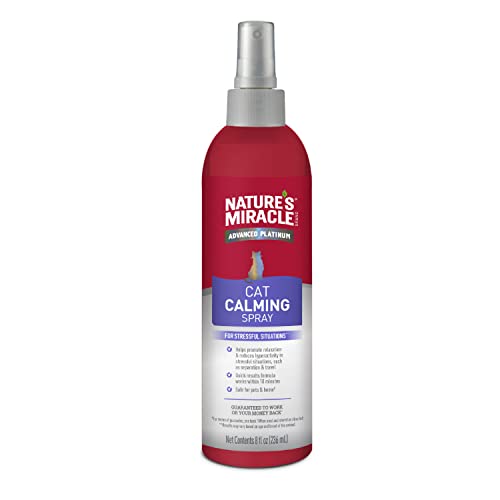 Best Cat Calming Sprays