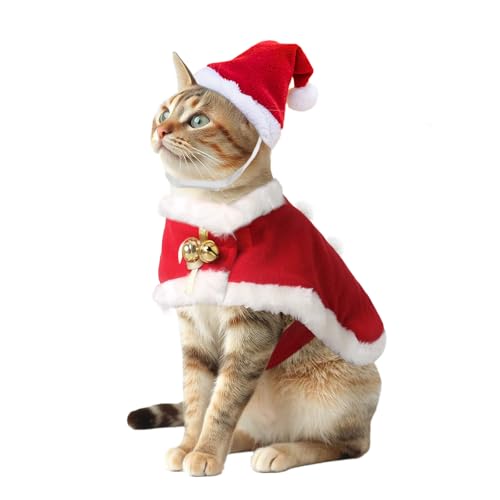 Best Cat Christmas Costumes