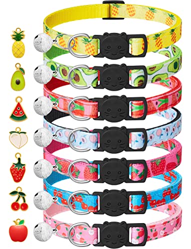 Best Cat Collars