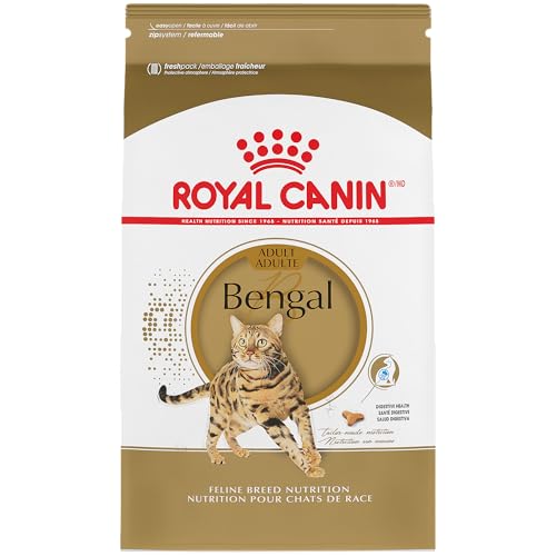 Best Cat Food For Bengals