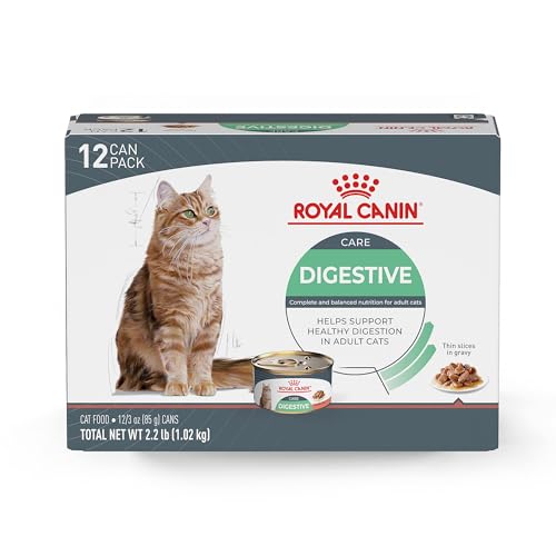 Best Cat Food for Pancreatitis