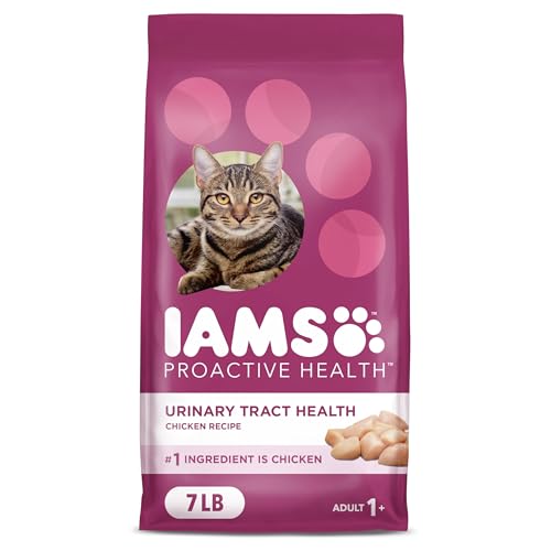 Best Cat Food For Urinary Tract Health