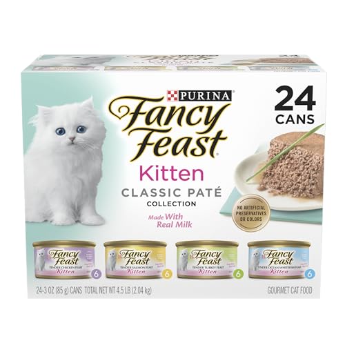Best Cat Kitten Foods