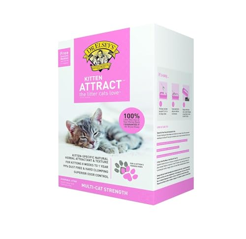 Best Cat Litter For Kittens