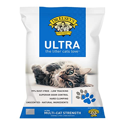 Best Cat Litter