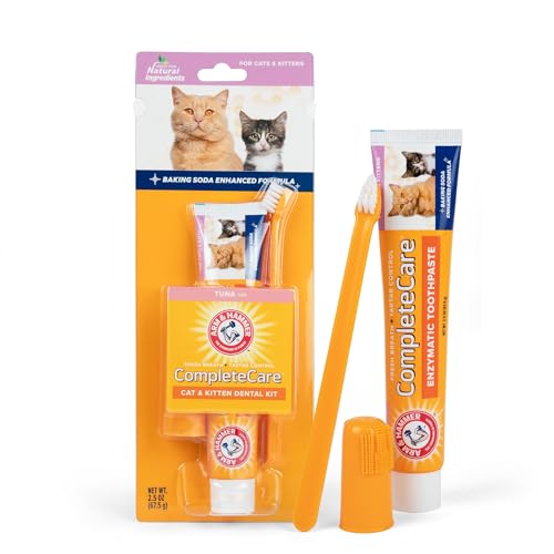 Best Cat Toothbrush