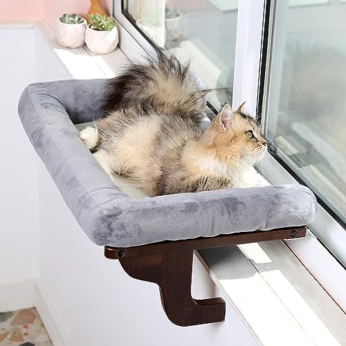 Best Cat Window Perch