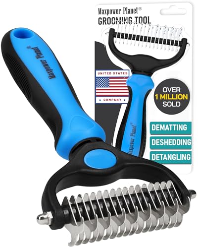 Best Dematting Tools for Dogs