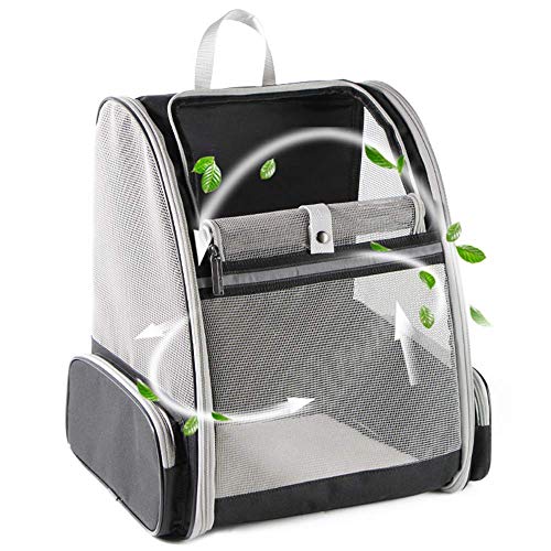 Best Dog Backpacks