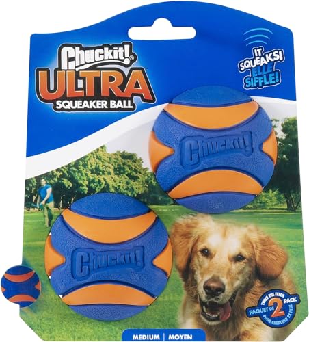 Best Dog Balls