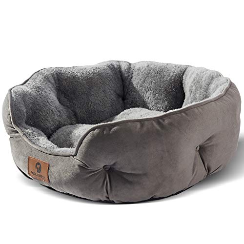 Best Dog Beds for Small Dogs