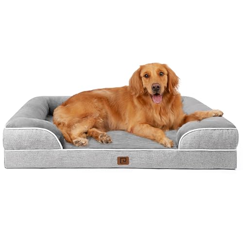Best Dog Beds