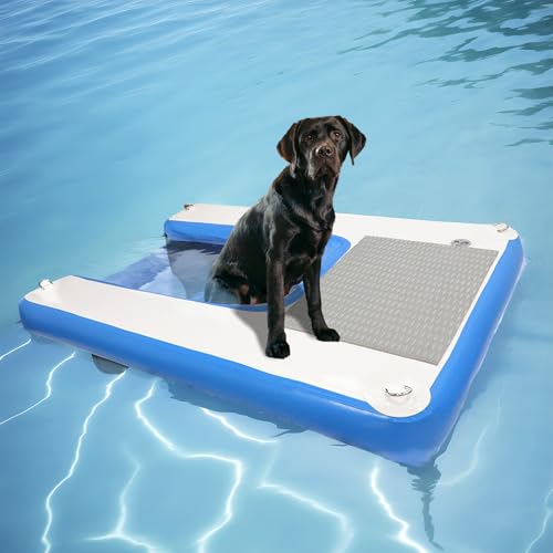 Best Dog Boat Ramps
