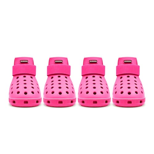 Best Dog Boots