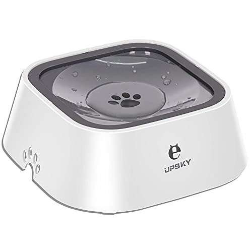 Best Dog Bowls For Hassle Free Feeding