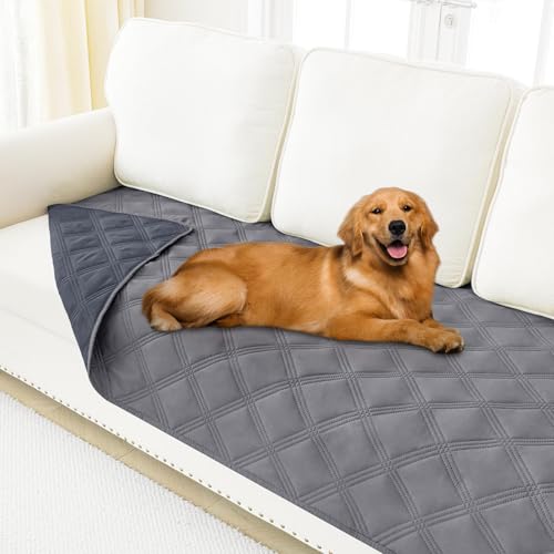 Best Dog Couch Covers