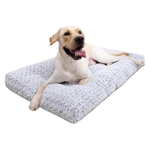 Best Dog Crate Beds And Pads