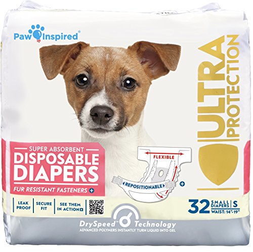 Best Dog Diapers for Your Canine Friend
