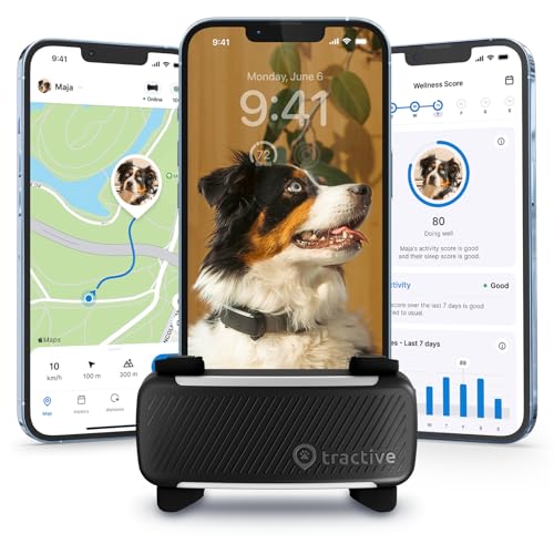 Best Dog Fitness Activity Trackers