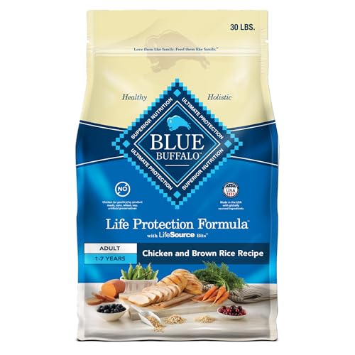 Best Dog Food Brands