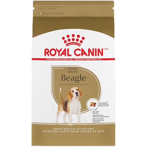 Best Dog Food for Beagles