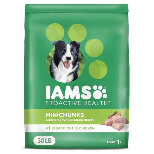 Best Dog Food for Border Collies