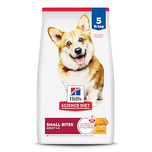 Best Dog Food for Corgis