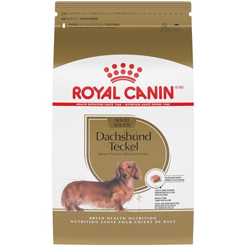 Best Dog Food for Dachshunds