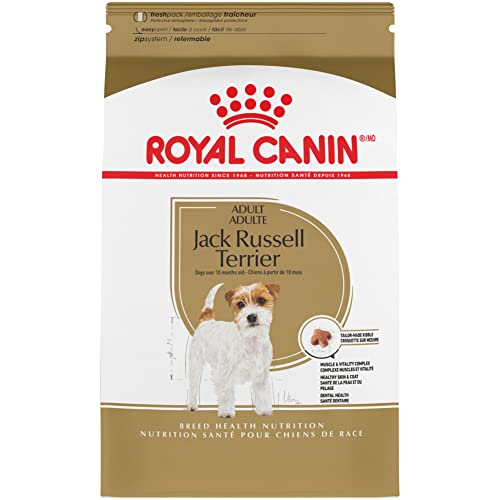 Best Dog Food for Jack Russell