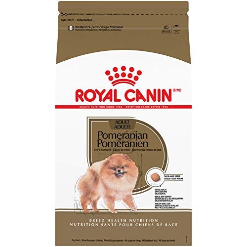 Best Dog Food for Pomeranians