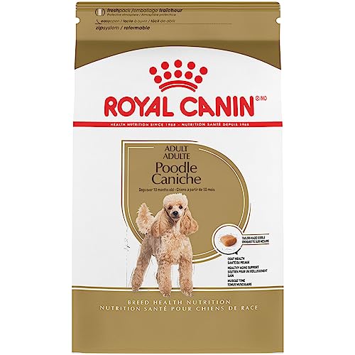 Best Dog Food for Poodles