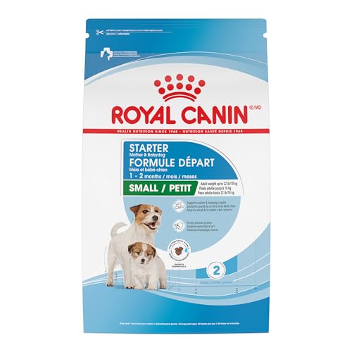 Best Dog Food for Pregnant Dogs