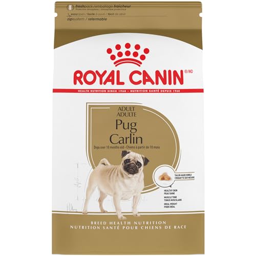 Best Dog Food for Pugs
