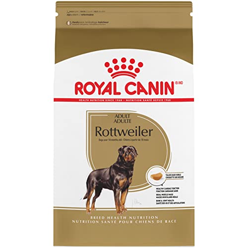 Best Dog Food for Rottweilers