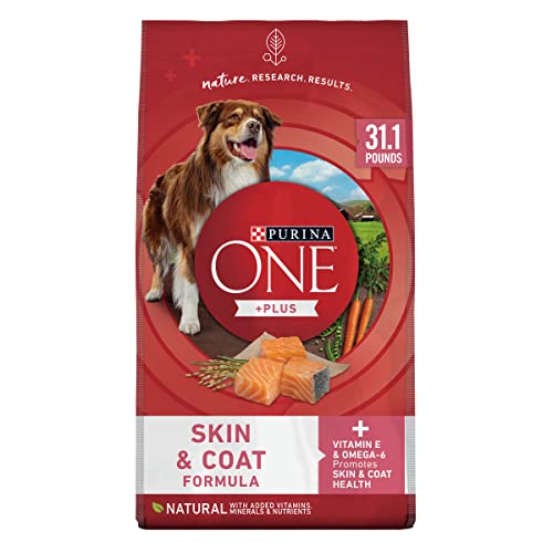 Best Dog Food for Sensitive Stomachs