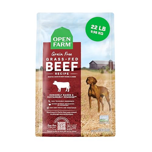 Best Dog Food for Weimaraners