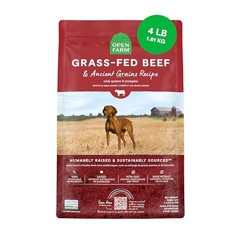 Best Dog Food With Grain