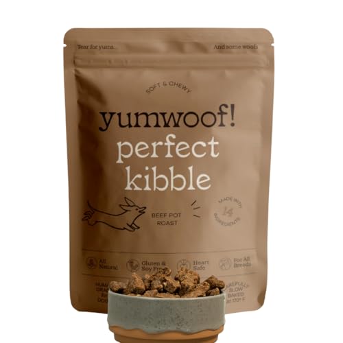 Best Dog Foods for Flatulence