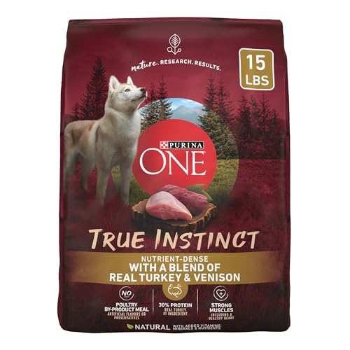 Best Dog Foods for Huskies
