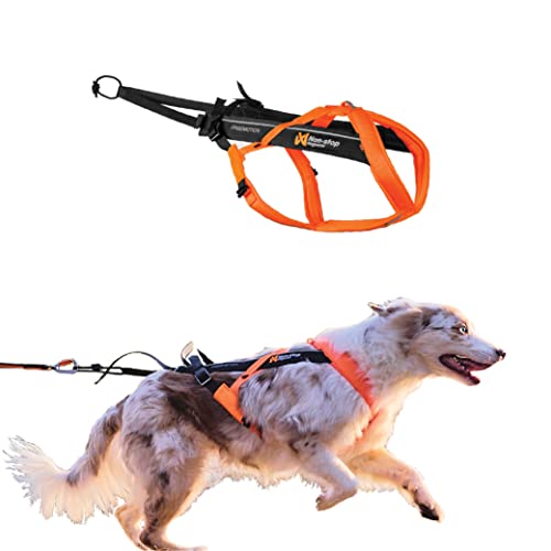 Best Dog Harnesses for Running