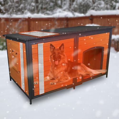 Best Dog Houses for Winter