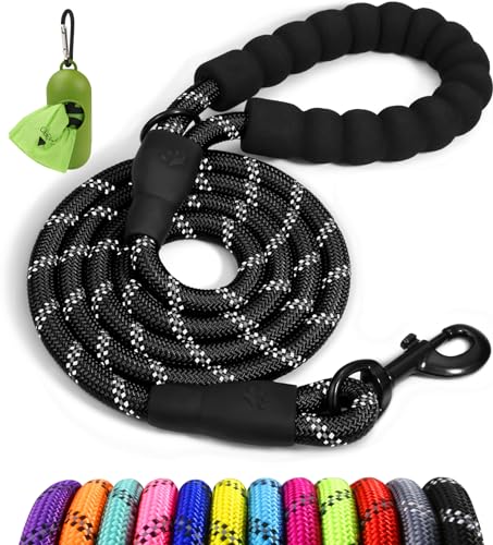 Best Dog Leashes